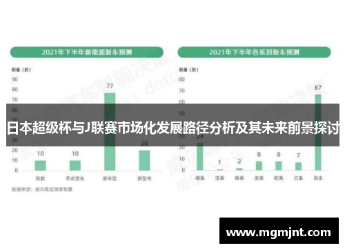 日本超级杯与J联赛市场化发展路径分析及其未来前景探讨